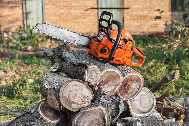 Best Best Tree Removal Services  in Strasburg, OH